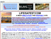 Tablet Screenshot of lifeisatest.com